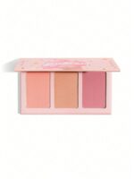 پالت رژگونه سه رنگ شیگلم Sweet Cheeks Blush Trio - تصویر 5